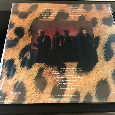 Dead or Alive / Sophisticated Boom Boom:  Limited orange/black vinyl LP - Image 4