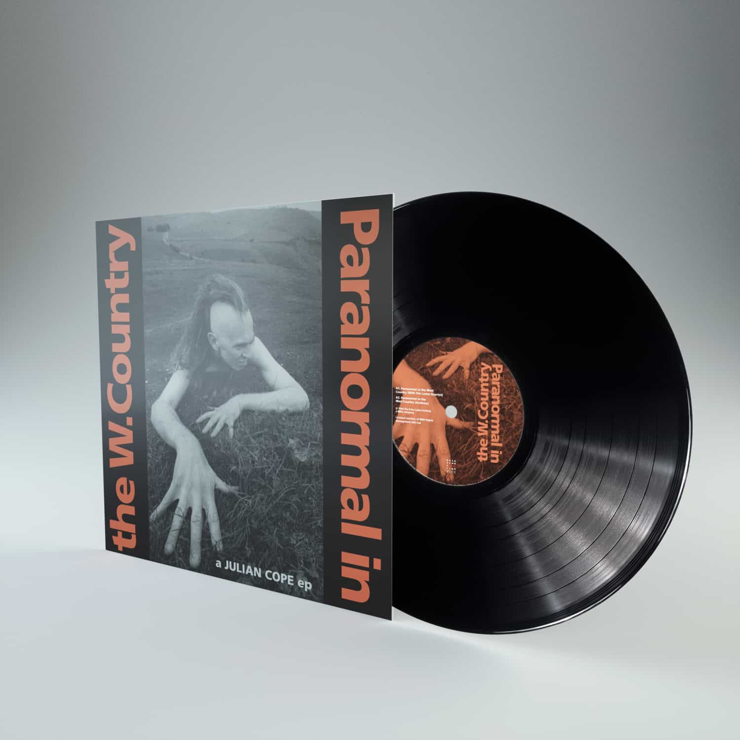 Julian Cope / Autogeddon vinyl box set - Image 4