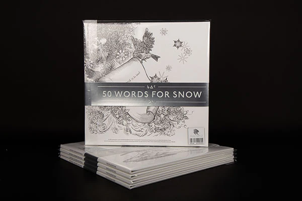 Kate Bush / 50 Words For Snow (Polar Edition) vinyl LP - Image 5