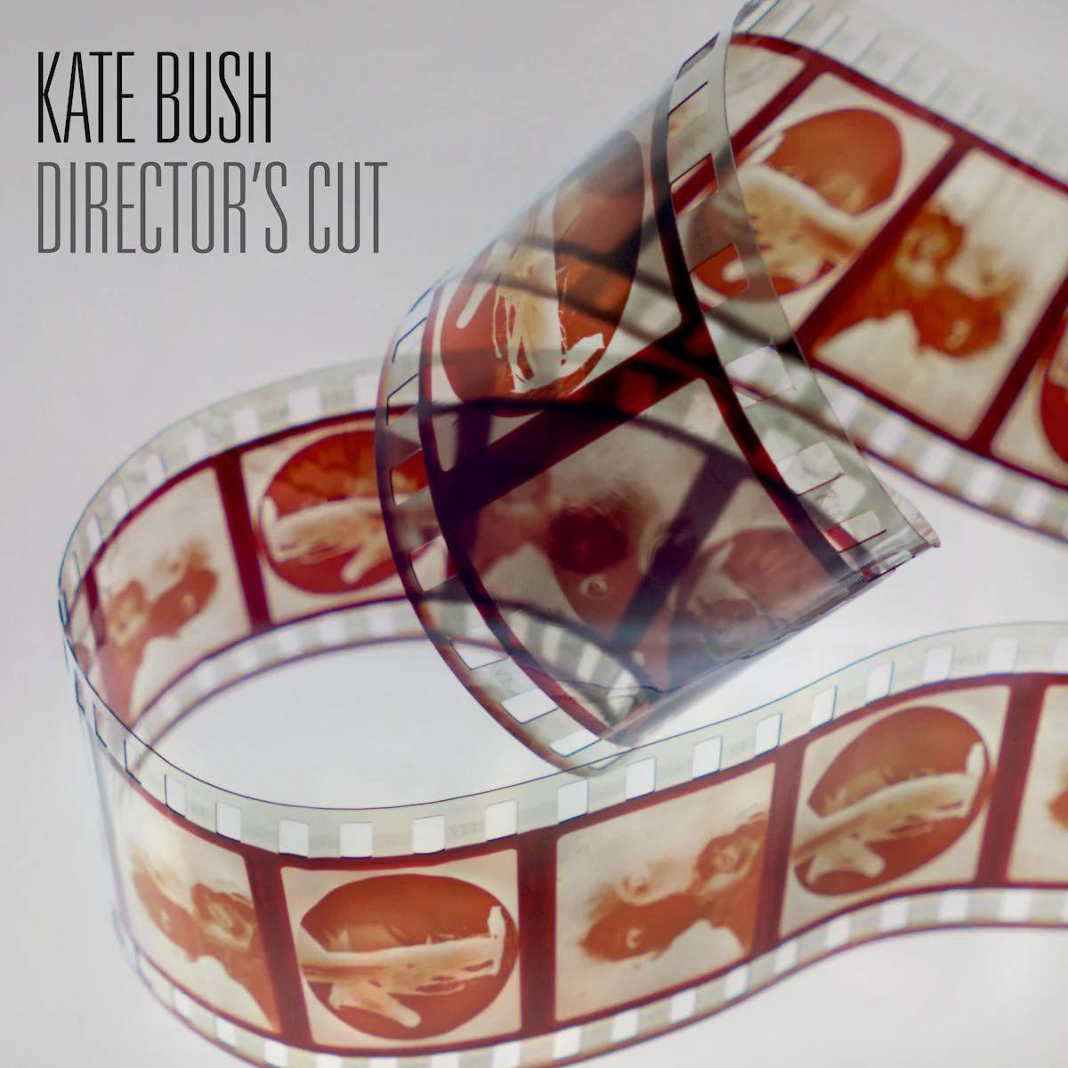 Kate Bush / Director's Cut coloured vinyl LP - Image 2