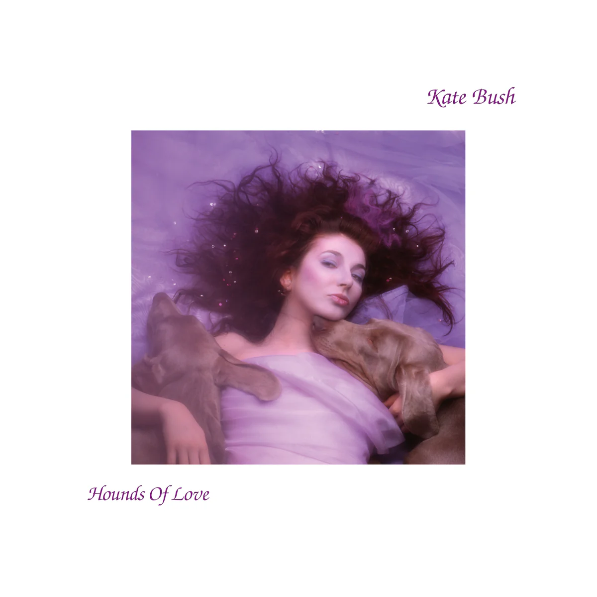 Kate Bush / Hounds of Love coloured vinyl LP - Image 3