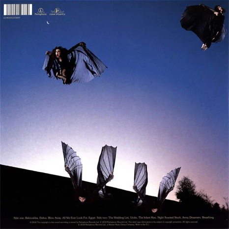 Kate Bush / Never For Ever 180g vinyl remastered - Image 2